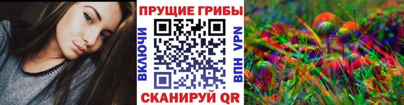 Купить закладки  Снежногорск  Галлюциногенные грибы Psilocybe 